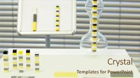  Presentation with mankind - PPT layouts featuring mankind races - ethnic and multi background and a soft green colored foreground