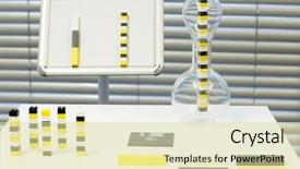  Presentation with mankind - Amazing presentation design having mankind races - ethnic and multi backdrop and a soft green colored foreground