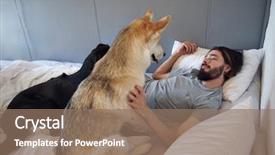  Presentation with beard - Colorful PPT theme enhanced with mans best friend - hipster man with beard looks backdrop and a coral colored foreground