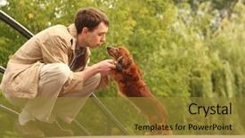  Presentation with dachshund - Amazing presentation theme having mans best friend - young man plays with his backdrop and a gold colored foreground