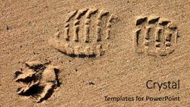  Presentation with footprint - Audience pleasing presentation theme consisting of dog's paw print backdrop and a coral colored foreground