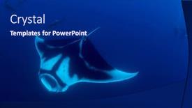  Presentation with scuba diving - Cool new PPT layouts with manta-ray-and-couple-scuba backdrop and a dark gray colored foreground