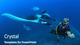 Presentation with scuba diving - Slide set with manta ray and scuba diver background and a ocean colored foreground