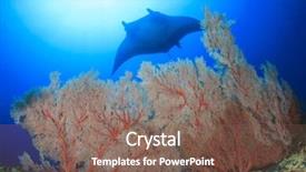  Presentation with over come challange - Audience pleasing PPT theme consisting of manta ray coming over top backdrop and a  colored foreground