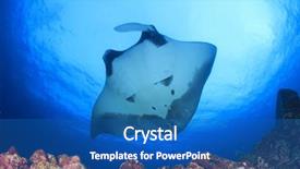  Presentation with environmental pollution - Theme having net of fishing line pollution background and a ocean colored foreground