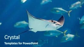  Presentation with floating - Slide deck consisting of rice with chicken and vegetables in a bowl macro on the table horizontal background and a gold colored foreground