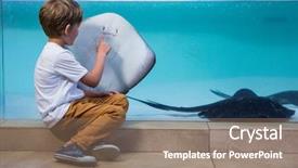  Presentation with reef tank marine aquarium blue - Amazing slide set having manta ray in a tank backdrop and a coral colored foreground