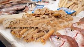  Presentation with shrimps - Beautiful slide deck featuring mantis-shrimps-and-fish backdrop and a coral colored foreground