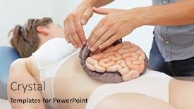  Presentation with normalcy of internal organs of human body - PPT theme featuring manual therapy of internal organs in intestinal dysfunction with external model - concept background and a lemonade colored foreground