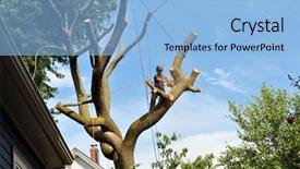  Presentation with chainsaw - Audience pleasing PPT theme consisting of manual working syatem - arborist climbing and dismantling elm backdrop and a light blue colored foreground