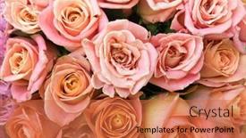  Presentation with roses - Slides enhanced with many-beautiful-orange-roses background and a red colored foreground
