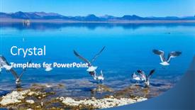  Presentation with towers - Colorful slide deck enhanced with many-birds-feed backdrop and a teal colored foreground