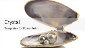  Presentation with pearls - Amazing presentation having many colored - beautiful pearls in a shell backdrop and a light gray colored foreground