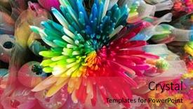  Presentation with flower - Slides consisting of many colored - closeup flower coloful gerbera background and a red colored foreground