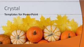  Presentation with halloween frame - Slide set consisting of many-colorful-pumpkins-and-maple background and a light gray colored foreground