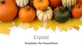  Presentation with halloween frame - Beautiful slide set featuring many-colorful-pumpkins-and-maple backdrop and a white colored foreground