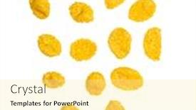  Presentation with corn flakes - PPT theme enhanced with many-corn-flakes-isolated background and a blonde colored foreground