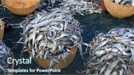  Presentation with fish - PPT theme consisting of many dried fish background and a tawny brown colored foreground