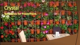  Presentation with pottery - Presentation with many flowering pottery plants hanging at facade of house in street background and a tawny brown colored foreground