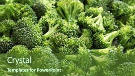  Presentation with fresh green broccoli - Colorful theme enhanced with many fresh green broccoli sprouts backdrop and a  colored foreground