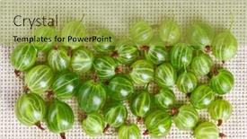  Presentation with gooseberry - Audience pleasing presentation theme consisting of many-gooseberry-fruits-on-gray backdrop and a gold colored foreground