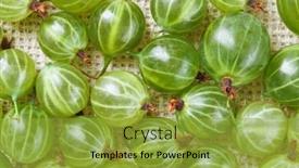  Presentation with gooseberry - Beautiful slides featuring many-gooseberry-fruits-on-gray backdrop and a gold colored foreground