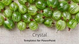  Presentation with gooseberry - Amazing slide deck having many-gooseberry-fruits-on-gray backdrop and a light gray colored foreground