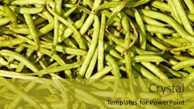  Presentation with beans - PPT layouts consisting of many green beans phaseolus vulgaris background and a gold colored foreground