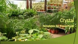  Presentation with nursery plant - Beautiful presentation featuring many green plants for sale backdrop and a tawny brown colored foreground