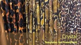  Presentation with closet - Amazing theme having many-of-colorful-snake-leopard backdrop and a tawny brown colored foreground