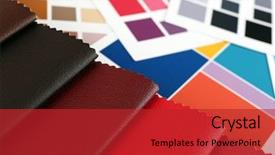  Presentation with animal tissue culture - Beautiful theme featuring many options - scraps of colored tissue backdrop and a  colored foreground