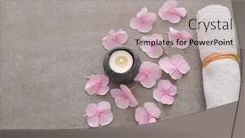  Presentation with hydrangea - Amazing slide deck having many-pink-hydrangea-petals backdrop and a light gray colored foreground