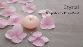  Presentation with hydrangea - Presentation theme featuring many pink hydrangea petals with candle in stone bowl on gray background background and a light gray colored foreground