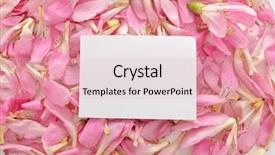  Presentation with flame - Audience pleasing PPT layouts consisting of many pink tropical petals backdrop and a lemonade colored foreground