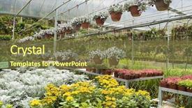  Presentation with nursery plant - Theme having many plant selling in greenhouse background and a tawny brown colored foreground