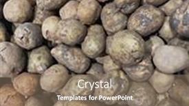  Presentation with dirt - Theme enhanced with many-potatoes-with-dirt-vegetable background and a coral colored foreground