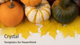  Presentation with green maple leaves - Cool new theme with many pumpkins and maple leaves backdrop and a yellow colored foreground