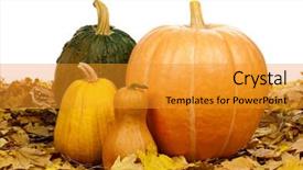  Presentation with shapes - Beautiful slide deck featuring many pumpkins of different shapes and sizes surrounded by leaves on white background backdrop and a gold colored foreground