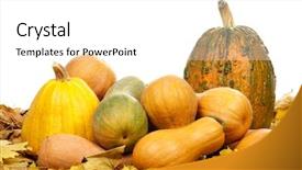  Presentation with shapes - Slides having traditional calabash gourd - many pumpkins of different shapes background and a white colored foreground