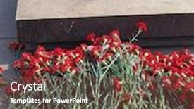  Presentation with flame - Amazing PPT theme having many-red-carnations backdrop and a tawny brown colored foreground