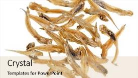  Presentation with fishes - Theme enhanced with bullhead - many salted goby fishes isolated background and a coral colored foreground