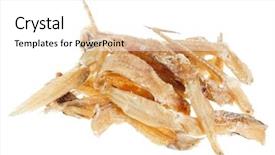  Presentation with fishes - Slide deck consisting of bullhead - many salted goby fishes isolated background and a white colored foreground