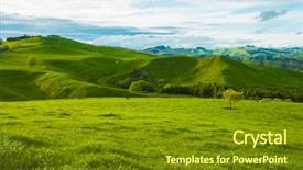  Presentation with green hills - Colorful presentation design enhanced with many sheep on the pasture backdrop and a tawny brown colored foreground