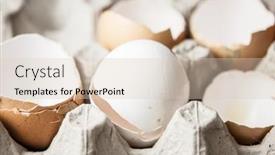  Presentation with shell - Presentation theme with many-shell-egg-scattered background and a lemonade colored foreground