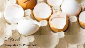  Presentation with shell - Audience pleasing presentation theme consisting of many-shell-egg-scattered backdrop and a coral colored foreground