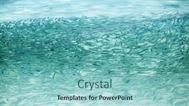  Presentation with fish ocean - Presentation theme having many-small-fish background and a light blue colored foreground
