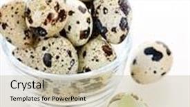  Presentation with broken egg - PPT layouts enhanced with many small speckled quail eggs with one broken egg background and a mint green colored foreground
