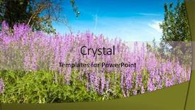  Presentation with summer flowers - PPT layouts enhanced with many violet flowers in summer background and a soft green colored foreground