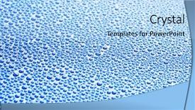  Presentation with water droplet drops on plant - PPT theme enhanced with many water drops for background background and a light blue colored foreground