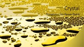  Presentation with water droplet drops on plant - PPT layouts featuring light plastic shutter on a window apartment background and a light gray colored foreground